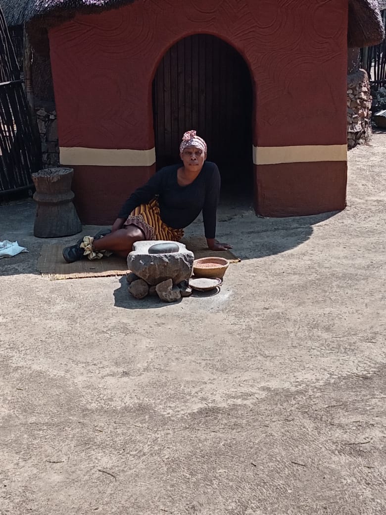 Wildlife Safari